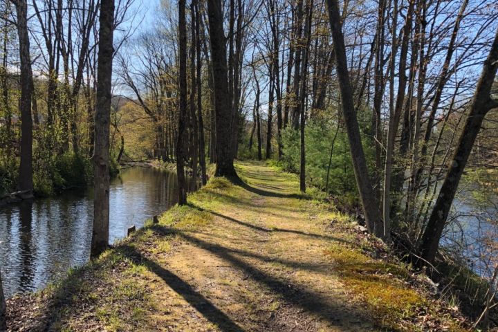 Towpath, Canal on Left, Lackawaxen on the Right.jpg