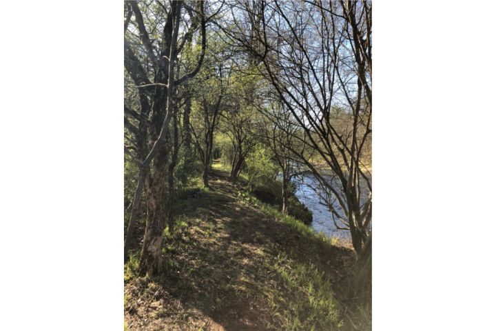 River Trail along the Lackawaxen River.jpg