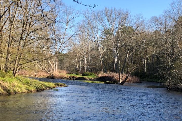 Lackawaxen River from River Trail.jpg