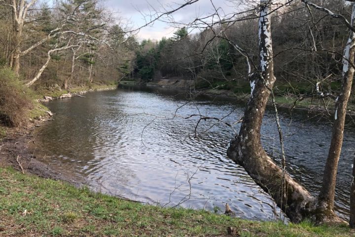 Lackawaxen River from the River Trail.jpg