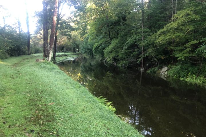 Towpath and the Canal.jpg