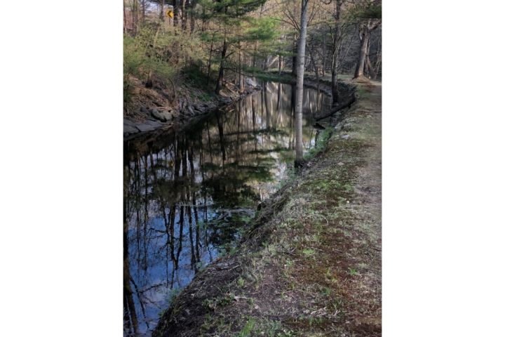 Towpath and Canal2.jpg